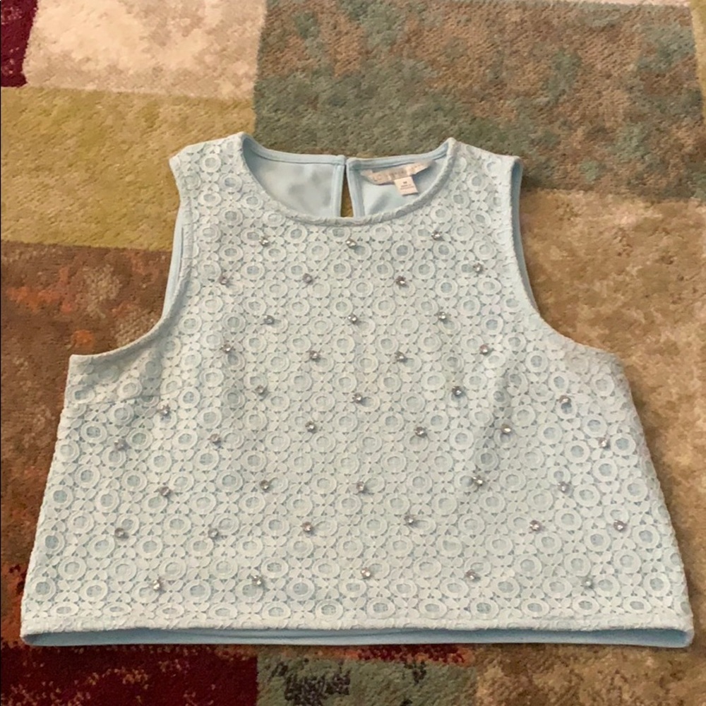 Blue jeweled crop top